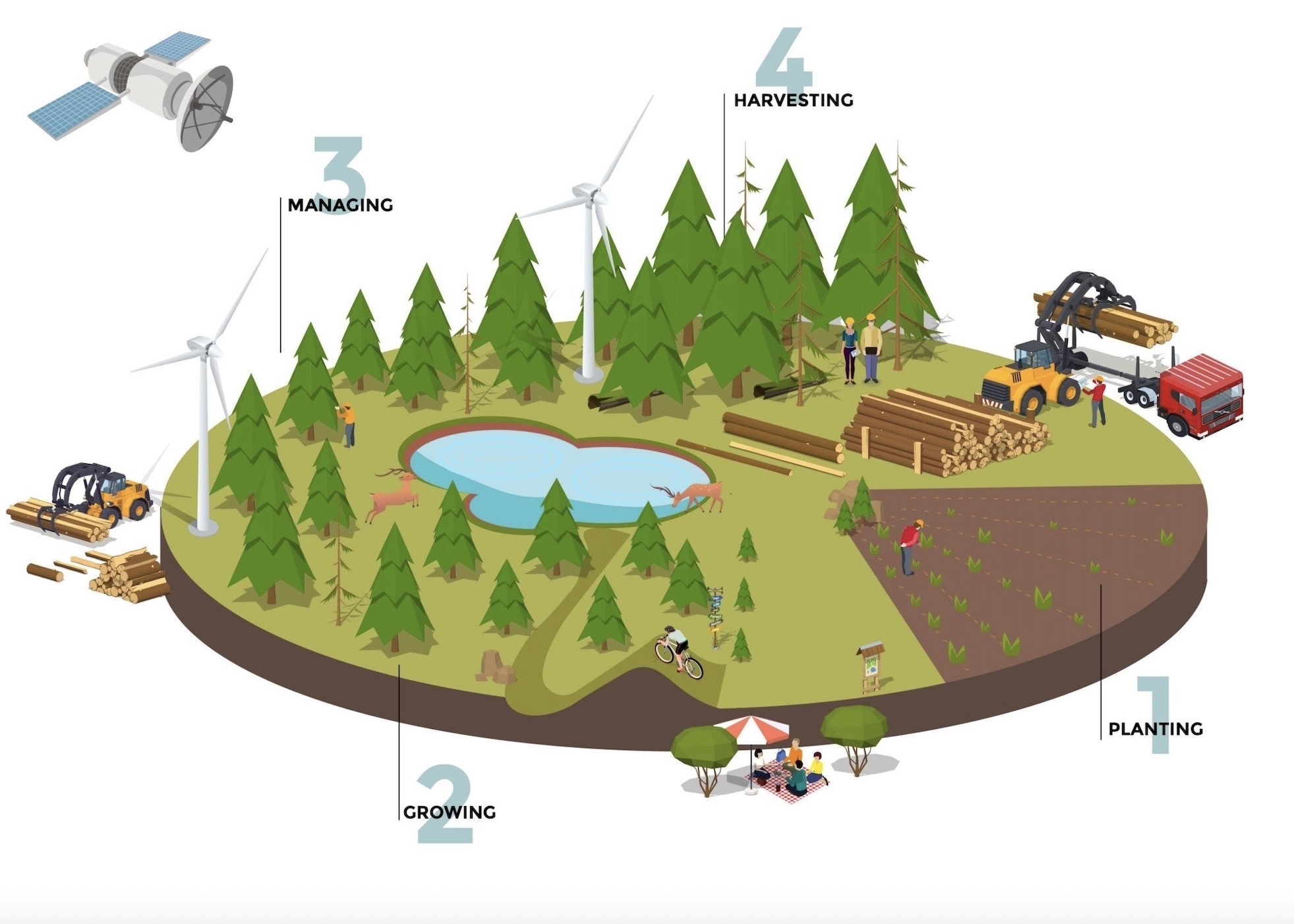 Sustainable forestry
