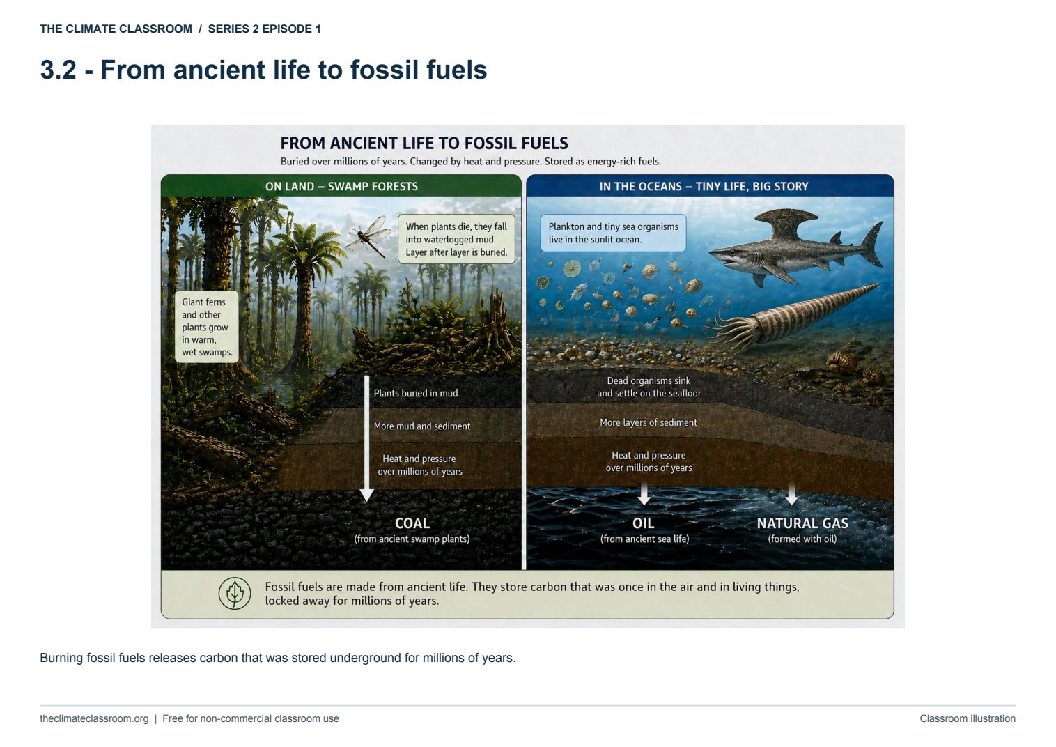 From ancient life to fossil fuels
